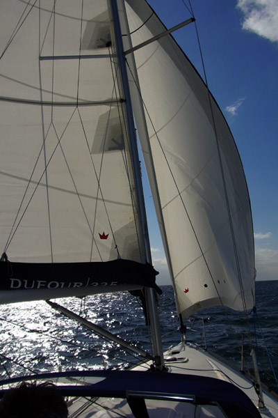 e0083517_11422962.jpg