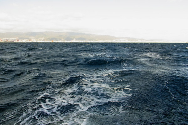 e0083517_1143198.jpg