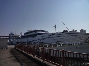 f0031420_621876.jpg