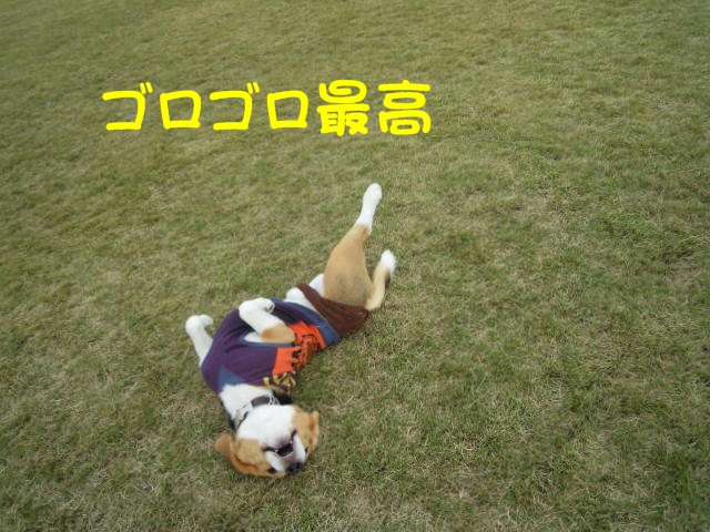 c0166622_131442.jpg