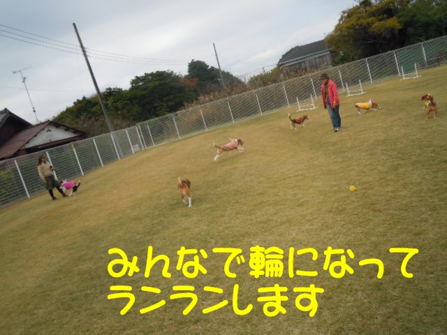 c0166622_1394815.jpg