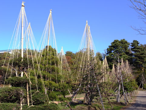 c0098228_6394976.jpg