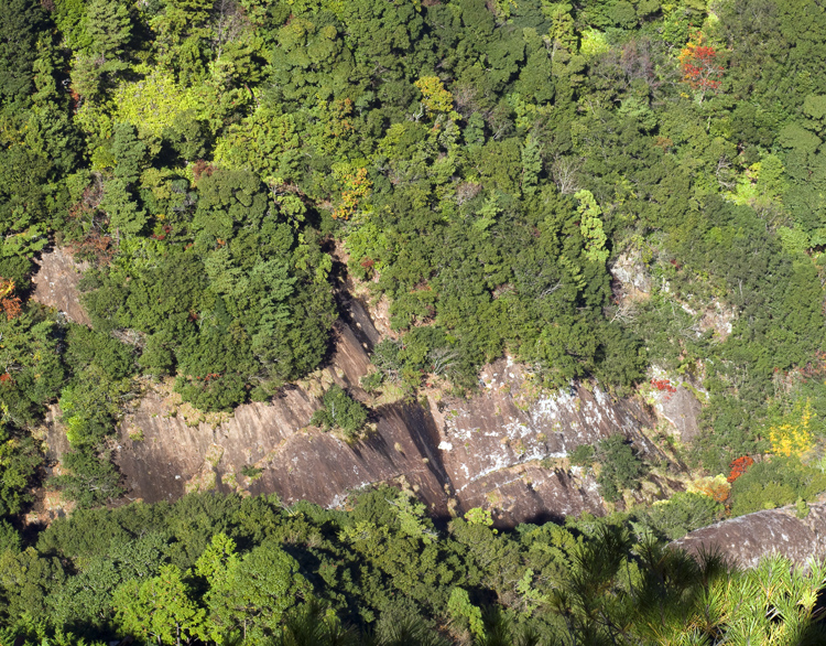 d0147530_7255551.jpg