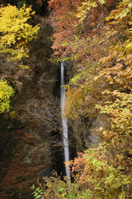 f0017530_2042841.jpg