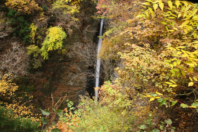 f0017530_2044532.jpg
