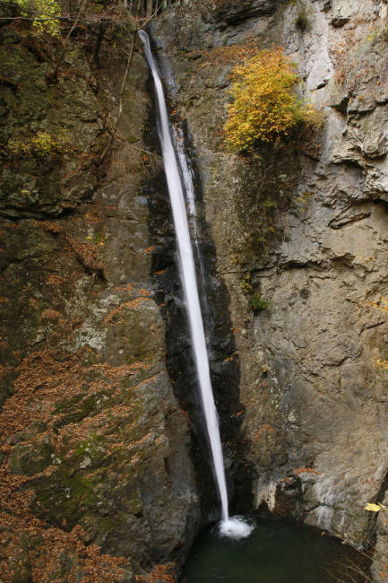 f0017530_205235.jpg