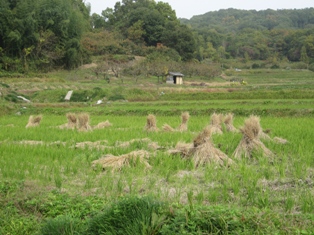 c0161034_17322785.jpg