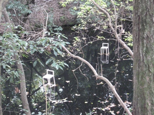 c0161034_17341960.jpg
