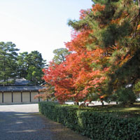 d0033734_13555668.jpg