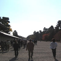d0033734_1423640.jpg