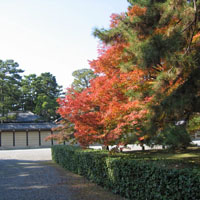 d0033734_143966.jpg