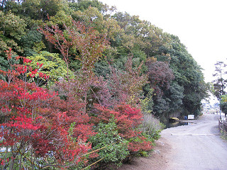 f0065341_18311040.jpg