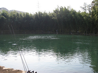 f0065341_18361327.jpg