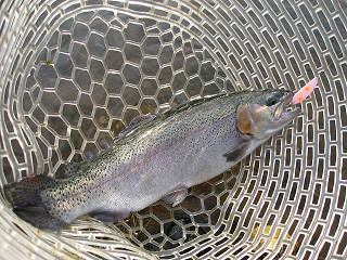 f0065341_18363619.jpg