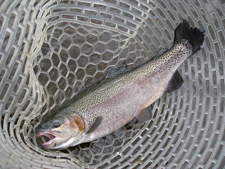 f0065341_183724100.jpg