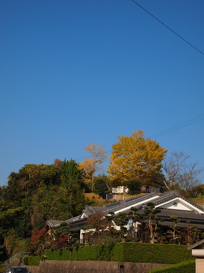 a0146442_16453230.jpg