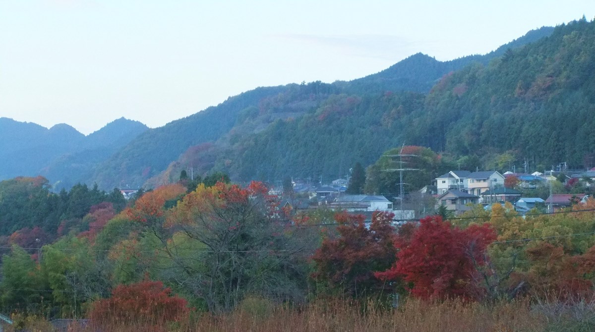 e0206242_1112493.jpg