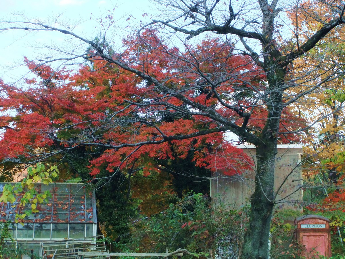 e0206242_1173134.jpg