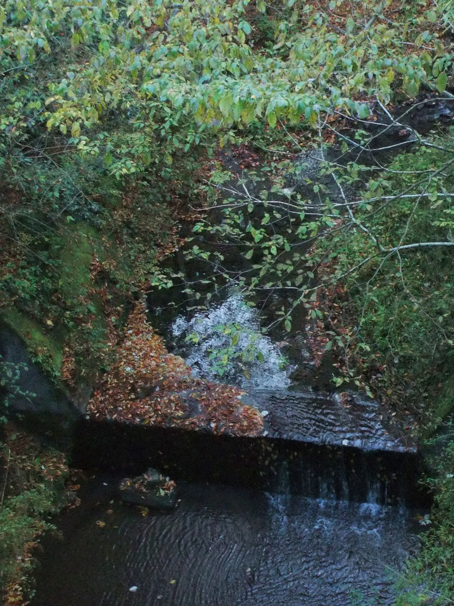 e0206242_119278.jpg