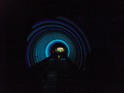 e0173645_2263339.jpg
