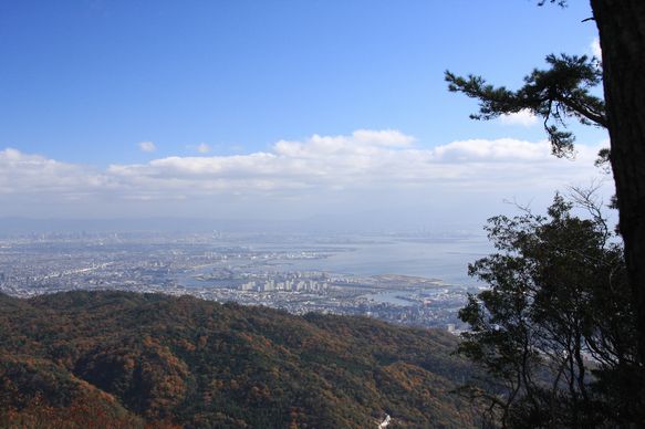 f0039446_1845824.jpg