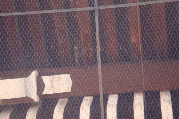 b0200747_1247395.jpg