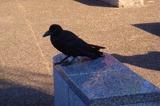 b0200747_12494915.jpg