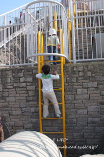 e0182147_4155934.jpg