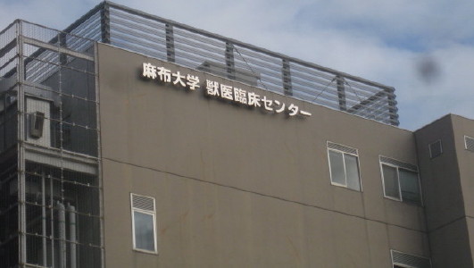 e0121548_19394020.jpg