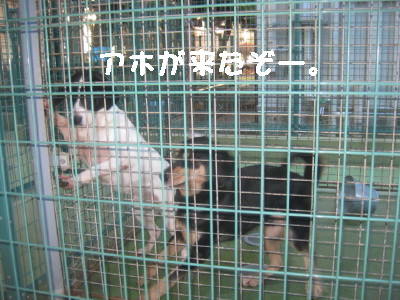 e0121548_2050560.jpg