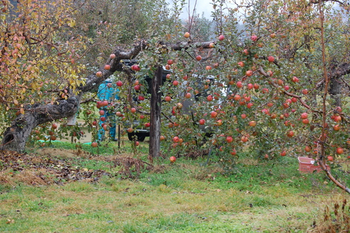 c0224154_13124112.jpg