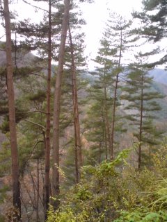 f0230356_1621691.jpg