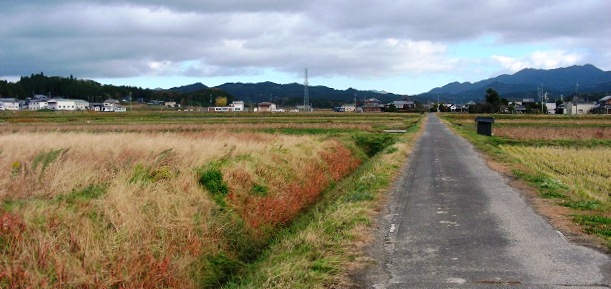 e0044657_961981.jpg