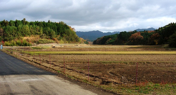 e0044657_964171.jpg