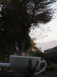 e0184558_8181099.jpg