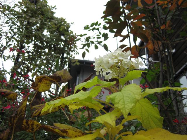 a0154962_2154327.jpg