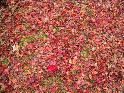 b0101263_12574811.jpg