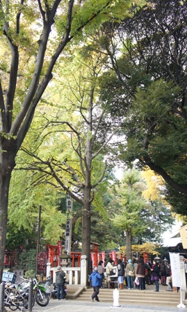 a0121966_1815850.jpg
