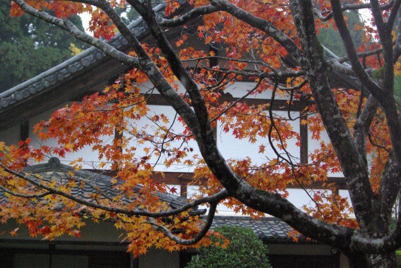 c0185066_1843681.jpg