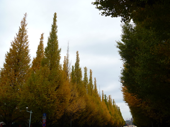 b0164568_7434752.jpg