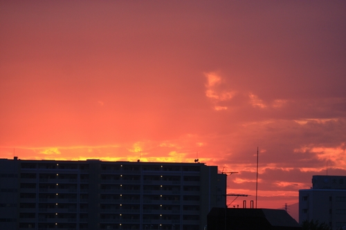 b0069169_17262596.jpg
