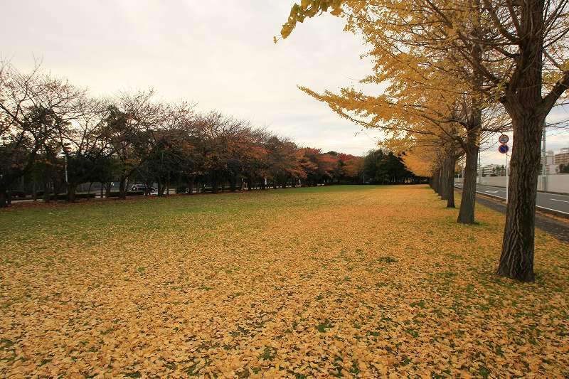 c0134569_222112.jpg