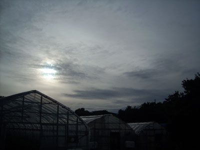 e0097770_0564516.jpg