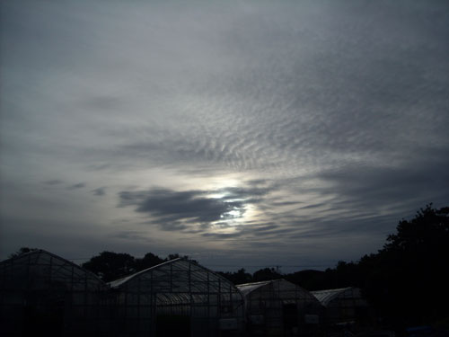 e0097770_0565717.jpg