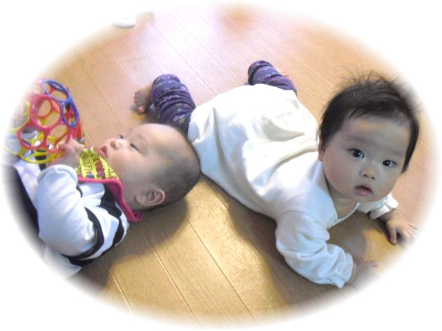 c0148773_147867.jpg