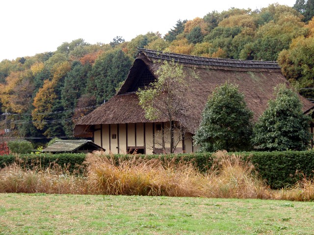 d0162276_1004320.jpg