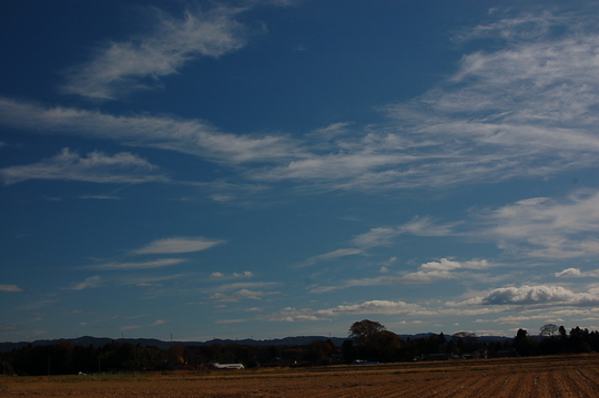b0203588_1244199.jpg