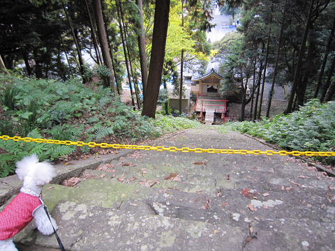 b0104592_18112337.jpg