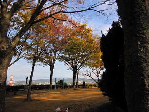 b0104592_1843367.jpg