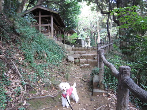 b0104592_1871866.jpg